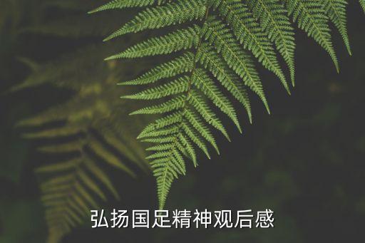 弘揚國足精神觀后感