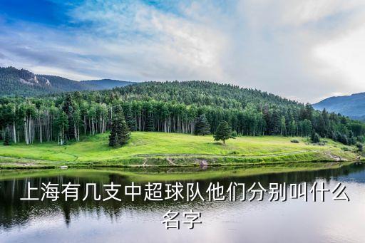  上海有幾支中超球隊(duì)他們分別叫什么名字