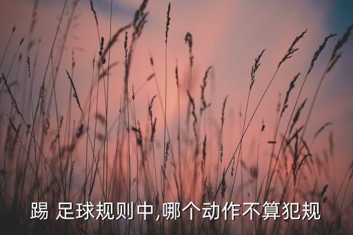 足球禁區(qū)內(nèi)肘擊,足球大小禁區(qū)規(guī)則