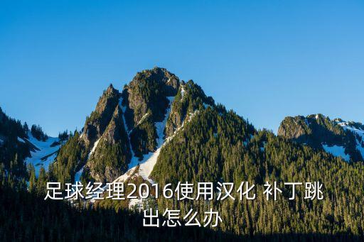  足球經(jīng)理2016使用漢化 補丁跳出怎么辦