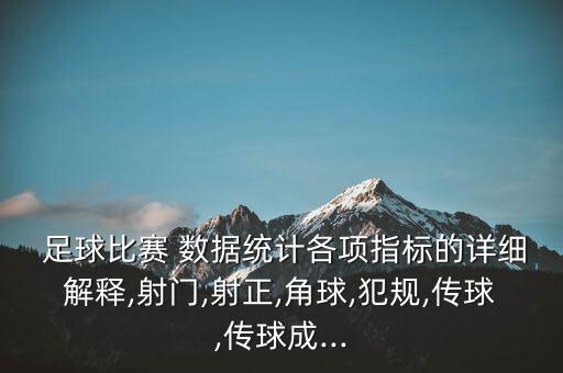 足球最準(zhǔn)確的數(shù)據(jù),哪個(gè)網(wǎng)站分析足球最準(zhǔn)確