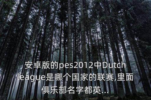 安卓版的pes2012中Dutchleague是哪個(gè)國家的聯(lián)賽,里面俱樂部名字都英...