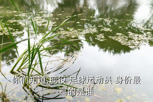 你們知道,現(xiàn)役 足球運(yùn)動(dòng)員 身價(jià)最高的是誰