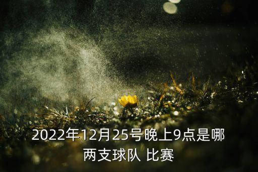 2022年12月25號(hào)晚上9點(diǎn)是哪兩支球隊(duì) 比賽