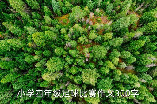 小學(xué)四年級(jí)足球比賽作文300字