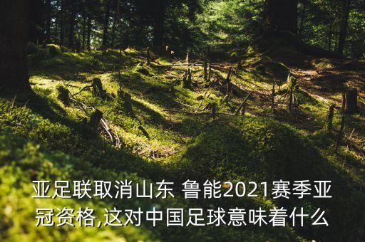 亞足聯(lián)取消山東 魯能2021賽季亞冠資格,這對中國足球意味著什么