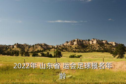 2022年 山東省 運會足球報名年齡