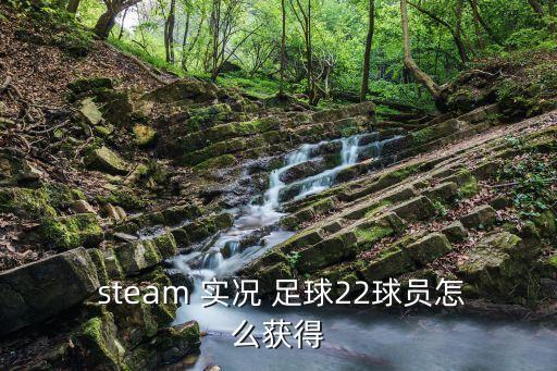 steam購買實(shí)況足球