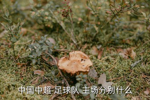 中國中超 足球隊(duì) 主場分別什么