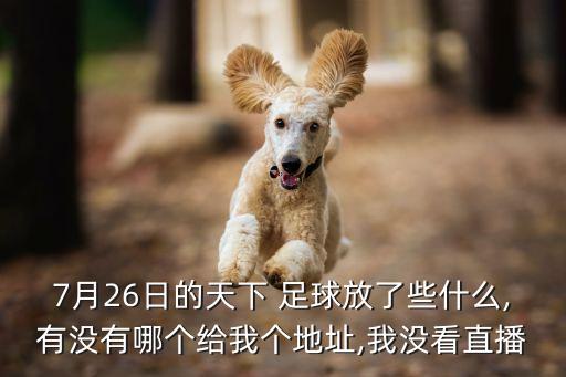 7月26日的天下 足球放了些什么,有沒有哪個(gè)給我個(gè)地址,我沒看直播