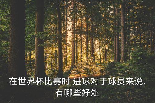 在世界杯比賽時(shí) 進(jìn)球?qū)τ谇騿T來(lái)說(shuō),有哪些好處