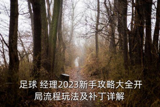  足球 經(jīng)理2023新手攻略大全開局流程玩法及補(bǔ)丁詳解