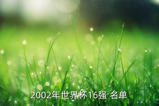 2002年世界杯16強(qiáng) 名單