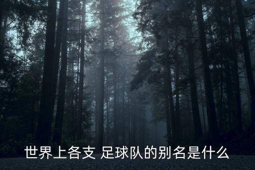 巴西和巴拉圭足球隊(duì),巴拉圭足球隊(duì)世界排名