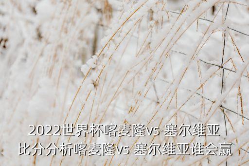 足球隊(duì)怎么樣塞爾維亞,塞爾維亞國家足球隊(duì)最新名單