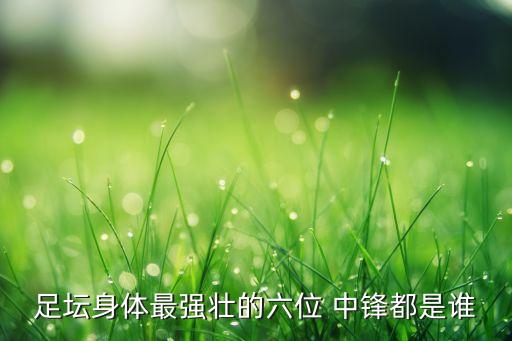 足壇身體最強(qiáng)壯的六位 中鋒都是誰