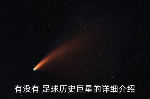 有沒(méi)有 足球歷史巨星的詳細(xì)介紹