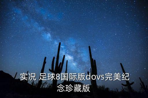  實況 足球8國際版dovs完美紀(jì)念珍藏版