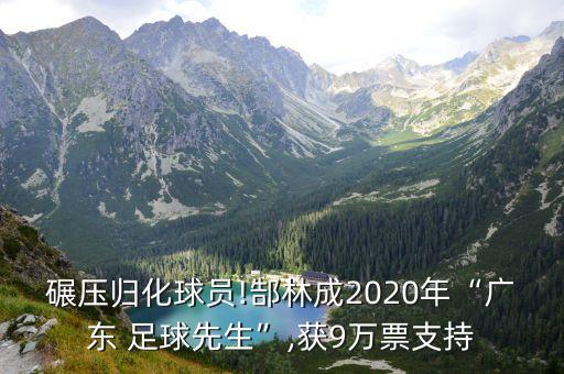 碾壓歸化球員!郜林成2020年“廣東 足球先生”,獲9萬票支持