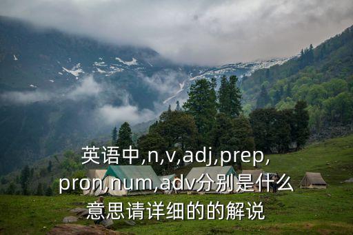 英語中,n,v,adj,prep,pron,num,adv分別是什么意思請?jiān)敿?xì)的的解說