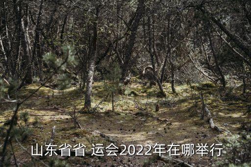  山東省省 運會2022年在哪舉行