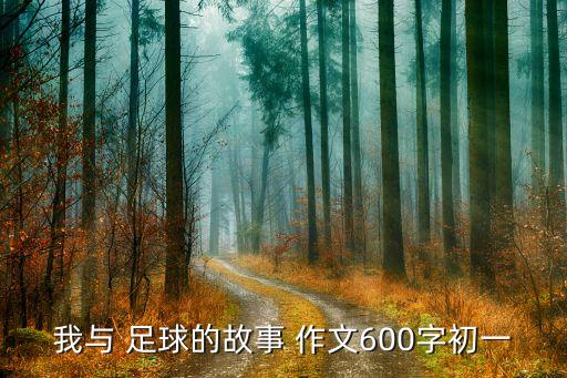 我與 足球的故事 作文600字初一