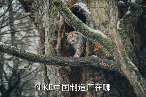 廣州最大足球nike,廣州足球最厲害的小學(xué)