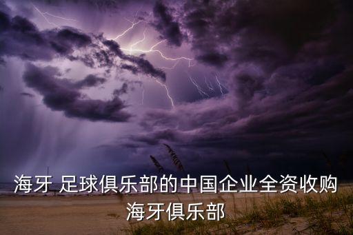 海牙 足球俱樂部的中國企業(yè)全資收購海牙俱樂部