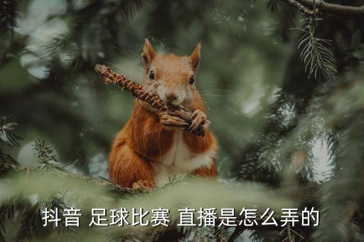 抖音 足球比賽 直播是怎么弄的