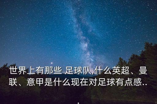 世界上有那些 足球隊(duì),什么英超、曼聯(lián)、意甲是什么現(xiàn)在對足球有點(diǎn)感...