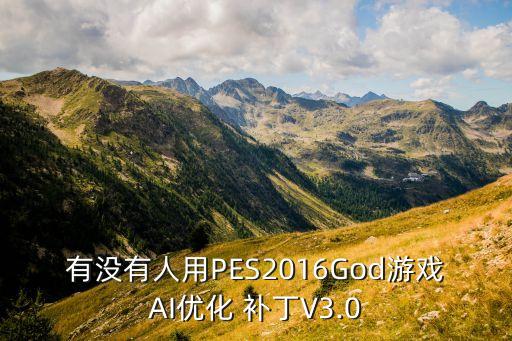 有沒有人用PES2016God游戲AI優(yōu)化 補丁V3.0