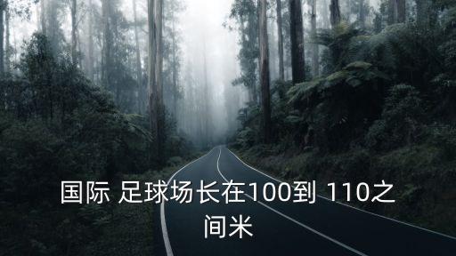 110足球,足球110分鐘