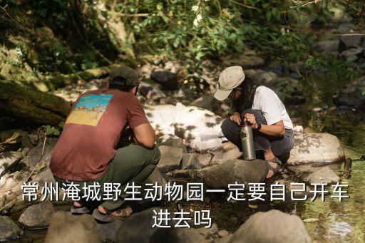  常州淹城野生動物園一定要自己開車進去嗎