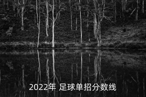 2022年 足球單招分?jǐn)?shù)線