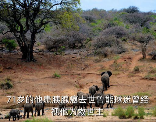 足球 癌癥高發(fā),癌癥的高發(fā)期在什么年齡段