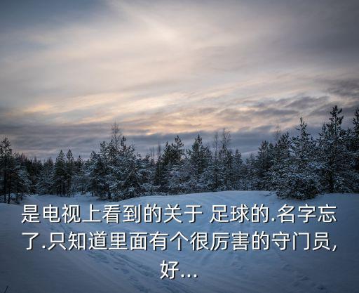 是電視上看到的關(guān)于 足球的.名字忘了.只知道里面有個很厲害的守門員,好...