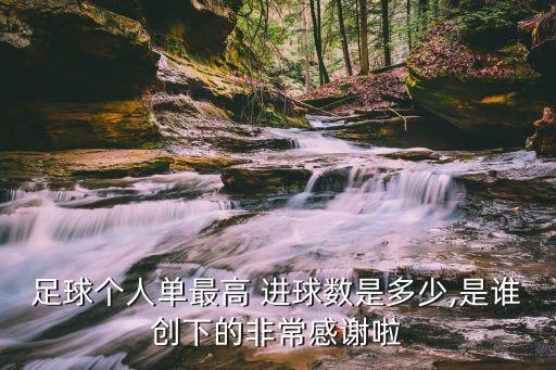 足球個人單最高 進球數(shù)是多少,是誰創(chuàng)下的非常感謝啦