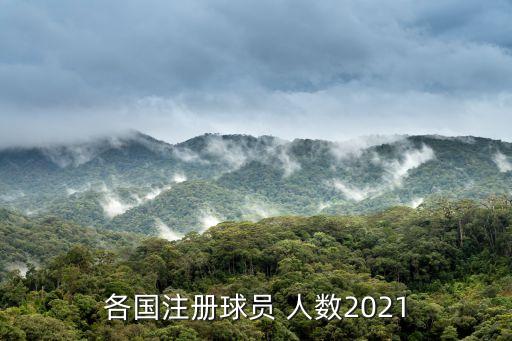 各國(guó)注冊(cè)球員 人數(shù)2021