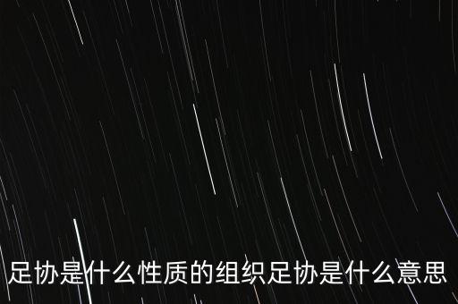 足協(xié)是什么性質(zhì)的組織足協(xié)是什么意思