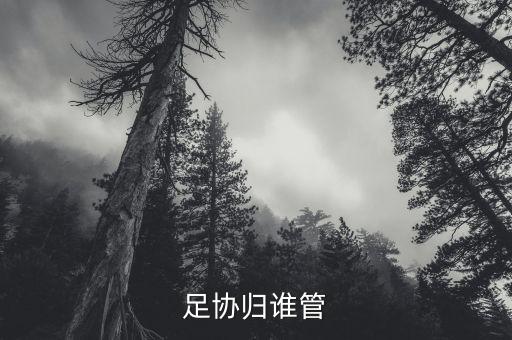 體育總局北控足球,中國體育總局足球運動管理中心