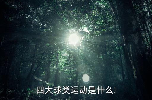 四大球類運(yùn)動是什么!