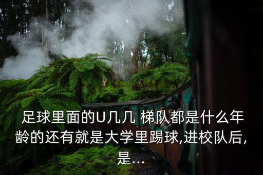  足球里面的U幾幾 梯隊(duì)都是什么年齡的還有就是大學(xué)里踢球,進(jìn)校隊(duì)后,是...