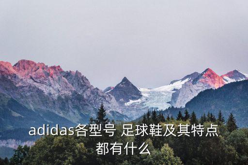 adidas各型號 足球鞋及其特點都有什么