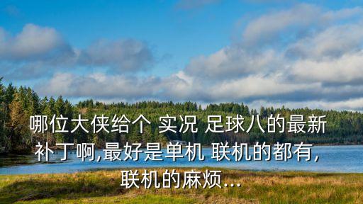 哪位大俠給個 實況 足球八的最新 補丁啊,最好是單機 聯(lián)機的都有, 聯(lián)機的麻煩...