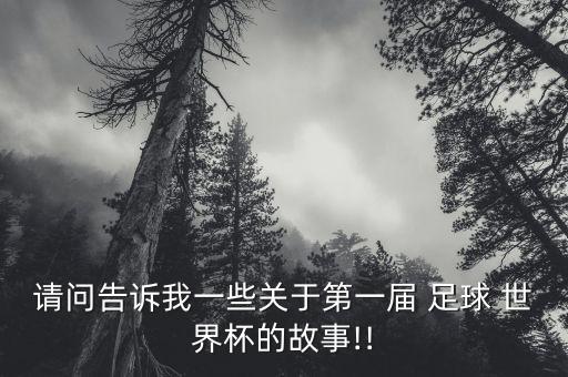 請問告訴我一些關(guān)于第一屆 足球 世界杯的故事!!