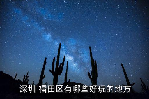 深圳福田少年足球