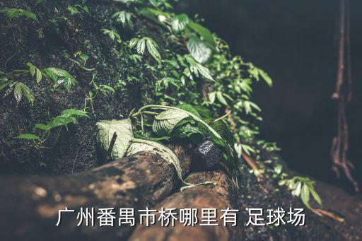 廣州番禺市橋哪里有 足球場(chǎng)