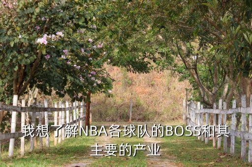 我想了解NBA各球隊的BOSS和其主要的產(chǎn)業(yè)