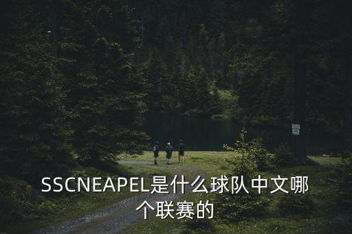 SSCNEAPEL是什么球隊(duì)中文哪個(gè)聯(lián)賽的