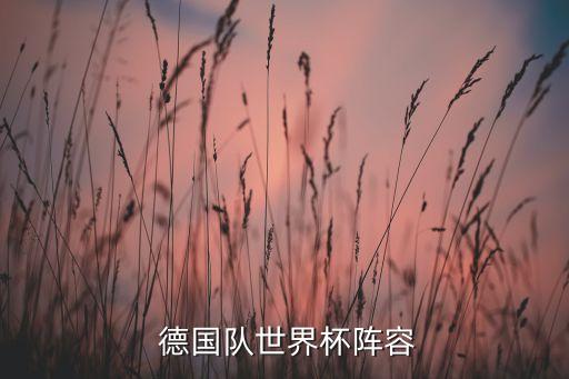 德國足球隊(duì)踢什么比賽,足球隊(duì)一年要踢多場(chǎng)比賽